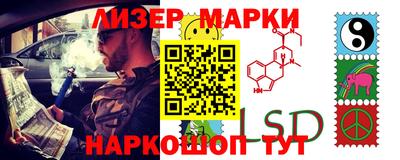 шишки Будённовск