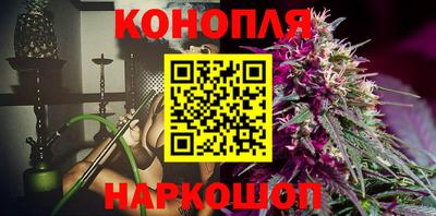 шишки Будённовск