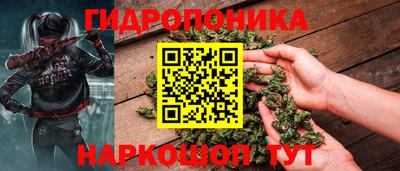 шишки Будённовск